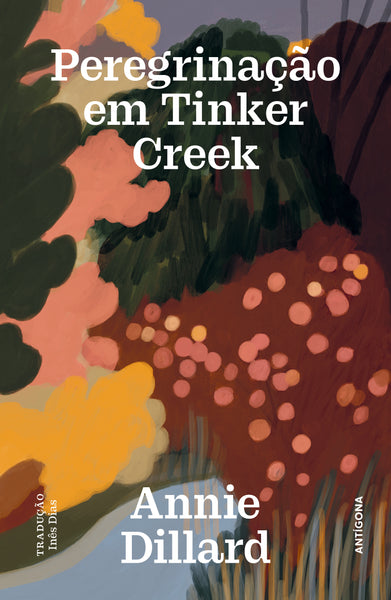 Peregrinação em Tinker Creek