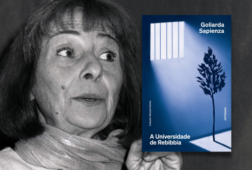 A Universidade de Rebibbia | Recensão | Diário de Notícias