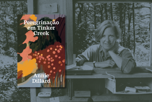 Peregrinação em Tinker Creek | Recensão | Expresso | ★★★★★