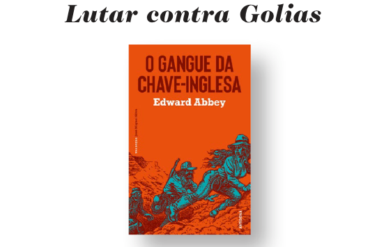 O Gangue da Chave-Inglesa | Revista Blimunda | Recensão de Sara Figueiredo Costa