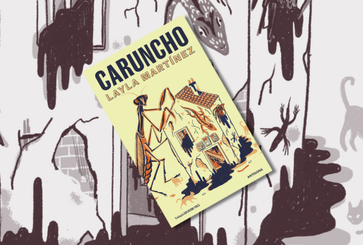 Caruncho | 101 Livros do Ano | Visão
