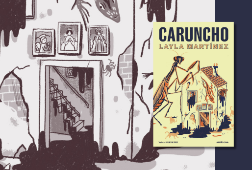 Caruncho | Os 49 livros do ano | Observador