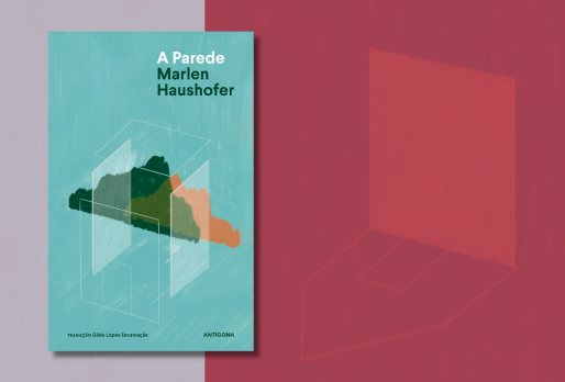 A Parede | 101 livros do Ano | Visão