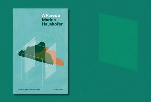 A Parede | Público | Recensão de Isabel Lucas ★★★★★