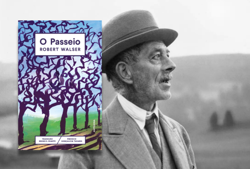 O Passeio | Recomendação de leitura | Programa Cujo Nome Estamos Legalmente Impedidos de Dizer