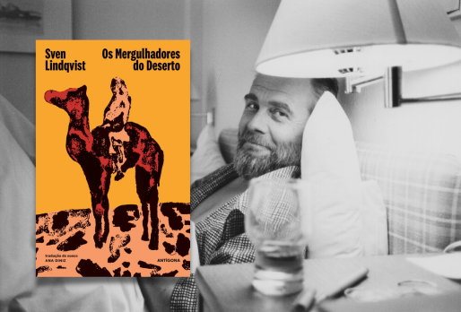 Os Mergulhadores do Deserto | Recomendação de leitura | Agenda Cultural de Lisboa
