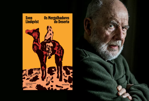 Os Mergulhadores do Deserto | Recensão | Diário de Notícias