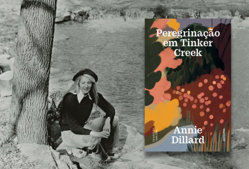 Peregrinação em Tinker Creek | Recensão | Ípsilon | ★★★★★