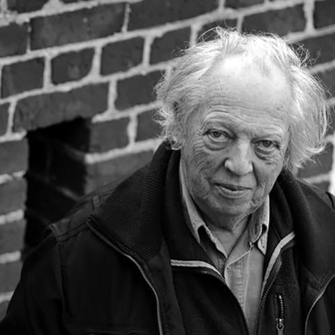 Raoul Vaneigem