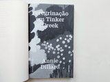 Peregrinação em Tinker Creek